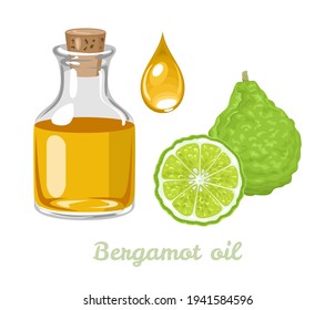 Bergamot essential oil in glass bottle and drop isolated on white background. Vector illustration of citrus fruit. Cartoon flat style.