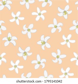 Bergamot flowers seamless vector pattern. Repeated fabric botanical design