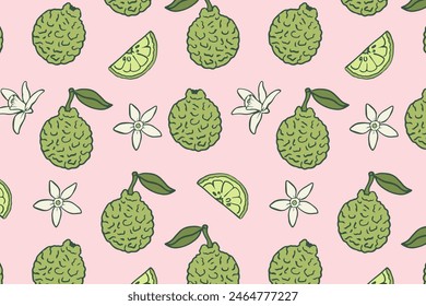 Bergamot fruit with flower and slices hand drawn seamless pattern. Fragrant citrus fruits on light pink background. Herbal and botanical concept.