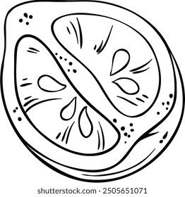 Bergamot Fruit Isolated Outline Illustration