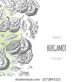 Bergamot fruits, flowers and leaves engraved sketch on seamless border. Hand drawn fresh ripe Kaffir lime fruit. Organic citrus food plant, juicy farm harvest. Vector floral design on watercolor stain