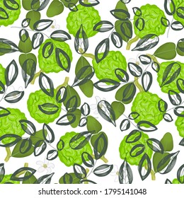 Bergamot fruits and leaves seamless vector pattern. Repeated fabric botanical design