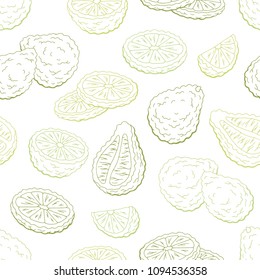 Bergamot graphic green color seamless pattern background sketch illustration vector