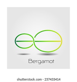Bergamot and Healthy Vegetable design with modern style, vector illustration