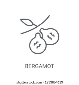 Bergamot icon. Trendy Bergamot logo concept on white background from Nature collection. Suitable for use on web apps, mobile apps and print media.