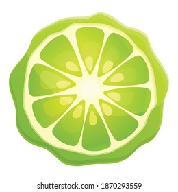 Bergamot Juice Slice Icon. Cartoon Of Bergamot Juice Slice Vector Icon For Web Design Isolated On White Background