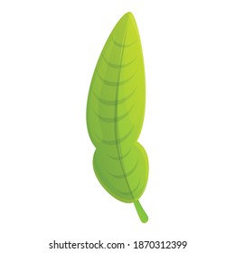 Icono de hoja de Bergamot. Caricatura del icono del vector hoja de bergamot para diseño web aislado en fondo blanco