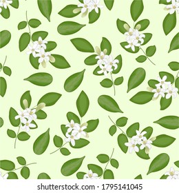 Bergamot leaves, and flower seamless vector pattern. Repeated fabric botanical design