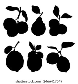 Bergamot leaves fruits silhouette stencil templates