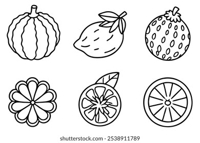 Bergamot Line Art Illustration with Intricate Floral Details 