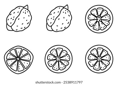Bergamot Line Art Illustration with Intricate Floral Details 