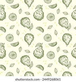 Bergamot seamless pattern. Repeating background with engraved citrus fruit plant for textile, wrapping, card, label, template, print, paper. Aromatherapy, flavouring tea, bergamot oil, cosmetics