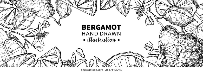 Bergamot vector drawing frame. Isolated vintage  template of citrus fruit, flower. Essential oil engraved  sketch. Beauty and spa, cosmetic, tea ingredient. Great for label, flyer, packaging design.