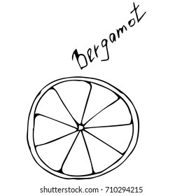 bergamot vector illustration.a Cup of tea and bergamot vector illustration. bergamot. Herbal ingredients for a cup of tea. Vector set or collection of tea elements. Hand drawn cartoon style.