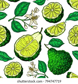 Bergamot Vector Seamless Pattern Drawing. Isolated Vintage Background Of Citrus Fruit With Flower And Slice. Organic Food. Essential Oil. Beauty And Spa, Cosmetic And Tea Ingredient.