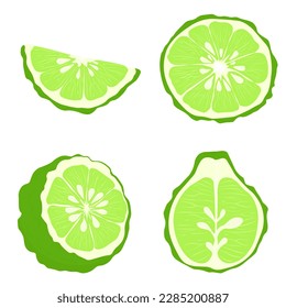 Bergamot Vector stock illustration. For labels, packaging: of Spa aroma oil tea. Citrus fruit, green in color. A tropical plant. Isolated on white background