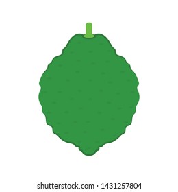Bergamot vector. wallpaper. free space for text. copy space. logo design. Bergamot symbol. sign.