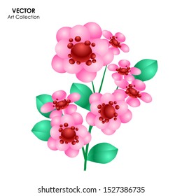 Bergenia Flower isolate, Vector illustration design element