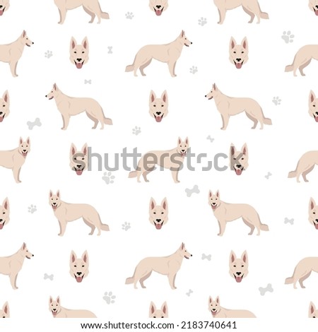 Berger Blanc Suisse seamless pattern. Different coat colors and poses set.  Vector illustration
