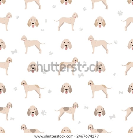 Berger Blanc Suisse seamless pattern. Different coat colors and poses set.  Vector illustration