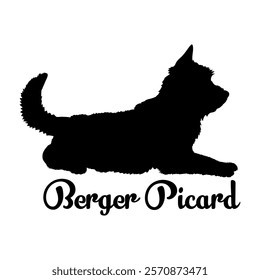 Berger Picard dog silhouette, dog breeds, logo, vector, silhouette,  animal, illustration, icon, sign, design, black, symbol, pet, love
