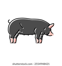 berkshire pig breed color icon vector. berkshire pig breed sign. isolated symbol illustration