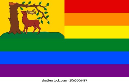 Berkshirerand y banderas de arco iris. ilustración vectorial proporción 3:5
