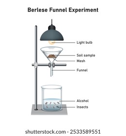 Berlese Funnel Experimento de Diseño Científico. Ilustración vectorial.
