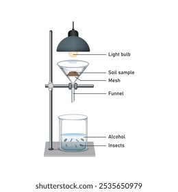 Berlese Funnel Experiment Projeto Científico. Ilustração de vetor.
