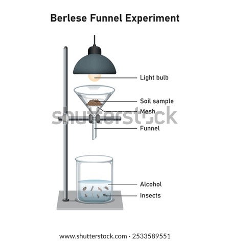 Berlese Funnel Experiment Scientific Design. Vector Illustration.

