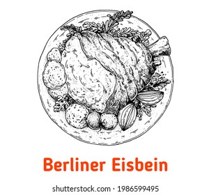 Ilustración vectorial dibujada a mano por Berliner Eisbein. Mancha de la vista superior del cerdo. Elemento de diseño de época. Ilustración del boceto de comida alemana.