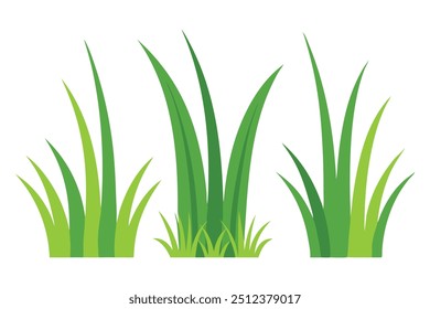 Bermuda grass set isolated flat vector illustration on white background.