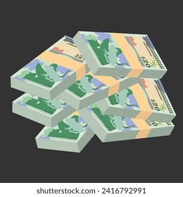 Bermudian Dollar Vector Illustration. Bermuda money set bundle banknotes. Paper money 20 BMD. Flat style. Isolated on white background. Simple minimal design.
