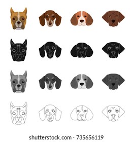 Bernard, breed, suit, and other web icon in cartoon style.Dog, animal, home, icons in set collection.