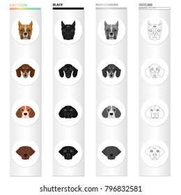 Bernard, breed, suit, and other web icon in cartoon style.Dog, animal, home, icons in set collection.