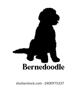 Bernedoodle Dog Silhouette vector breed