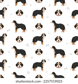 Bernedoodle hybrid seamless pattern. Vector illustration