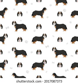 Bernedoodle mix breed seamless pattern. Different coat colors and poses set.  Vector illustration