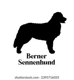 Berner Sennenhund Hund Silhouette Hund Hund Monogramm Logo Hund Gesicht Vektorgrafik