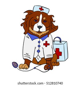 Berner Sennenhund Vector Doctor