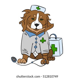 Berner Sennenhund Vector Doctor