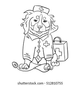 Berner Sennenhund Vector Doctor