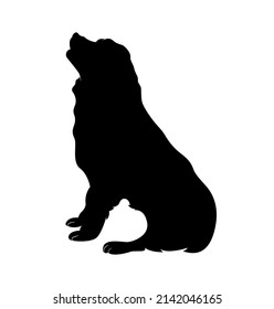 Bernese Mountain Dog animal Silhouette Vector Illustration.