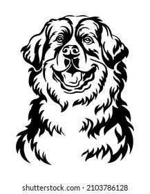 Bernese mountain dog black contour portrait. Dog head in front view vector illustration isolated on white. For decor, embroidery, design, print, poster, postcard, sticker, t-shirt, cricut, tattoo