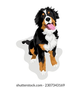 Bernese Mountain Dog cartoon vector