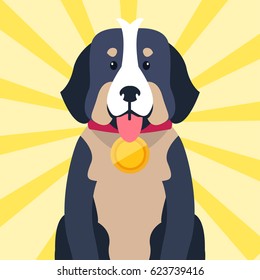 Bernese Mountain Dog champion with round golden award on neck isolated on striped yellow background. Vector illustration in flat design of highbred domestic sitting animal that won competition