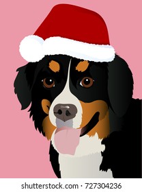 Bernese mountain dog close up in Santa cap vector illustration