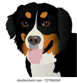 Bernese Mountain Dog Close Up Vector Illustration