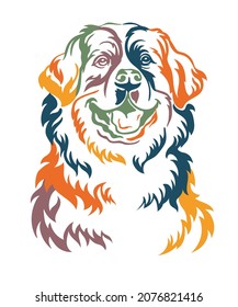 Bernese mountain dog color contour portrait. Dog head in front view vector illustration isolated on white. For decor, design, print, poster, postcard, sticker, t-shirt, cricut, tattoo and embroidery