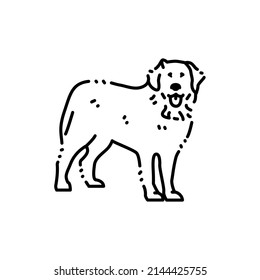 Bernese Mountain Dog color line icon. Dog breed. Pictogram for web page, mobile app, promo.